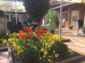 Hotel Radovic