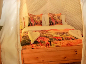 Amanya 2 Rooms Girraffe Family Tent