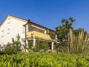 Apartments Ivica
