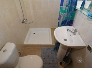 U Alika i Iriny Guest House