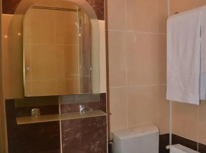Cazare Medias, apartament modern