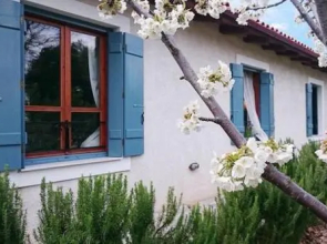 Helicon Muses Friendly Mountain B&B Guesthouse