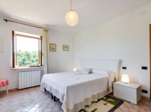 Pet-friendly Villa With Pool