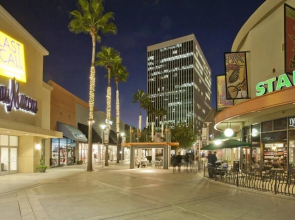 Disney's Gorgeous 1BR/1Bath with Free Parking! (R1)