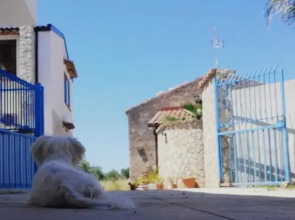 B&B Villa Prisiclla