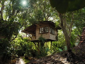 Roots Tree House