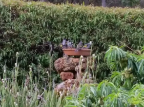 Woody Grange Chalets