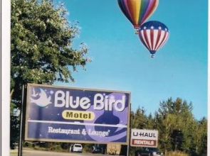 Bluebird Motel And Restaurant-sussex