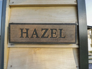 Hazel