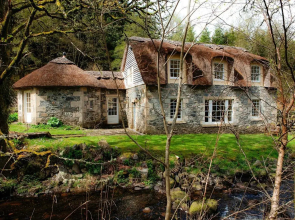 Forget Me Not - SKKZ