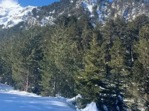 Studio flat Bansko