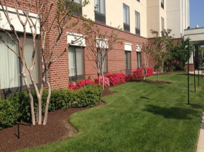 SpringHill Suites by Marriott Annapolis