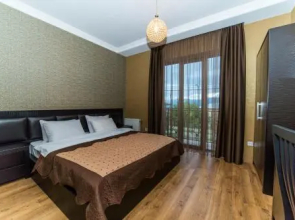 Hotel New Telavi