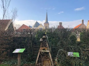 De drei schorre