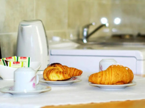 Studio Apartment Nika