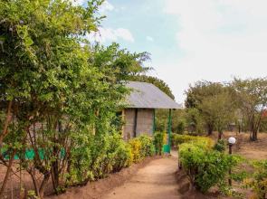 Mara Forest camp
