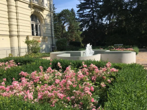 Residenz Bleichröder - Ferienwohnung 12