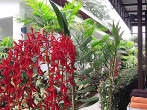 The Fong Krabi Resort