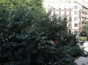 Hostal Absolut Stay - Adults Only