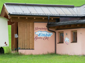 Cozy Apartment in Niedernsill near Skiing