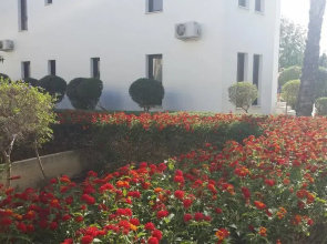 Mazotos Hilltop Apartment-FREE Welcome Package