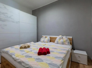 Sunny renovated Apartment close to downtown