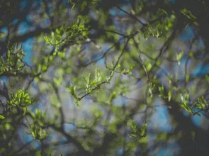 Yihai blue sky apartment (Lingshui Coral Sea store)