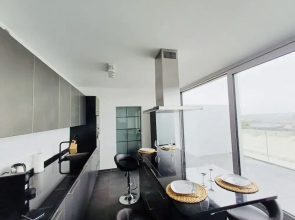 New 2 bedrooms Penthouse in Center