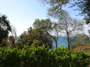 Villa D'Albertis