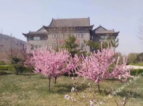 Longxiang Garden Hotel