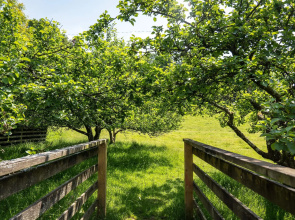 Enchanted Retreats at West Ford Devon