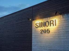 SINORI205