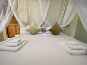 Zen Boutique Resort