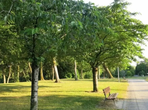 VILLA VERDE La Rochelle