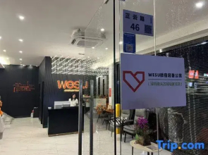 Wesu Micro Stay Luxury Apartment (Nantou Ancient City Branch, Shenzhen)