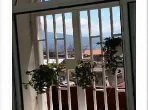 Il Volo del Gabbiano
