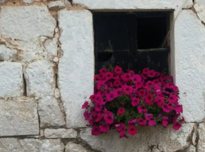 Guest House Janja Ostojic