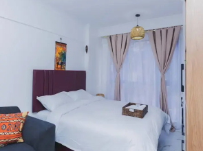 Stylish Studio in Smart Homes Kilimani,yaya Centre Nairobi,gym and Free Parking