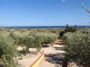 Rustico degli Ulivi
