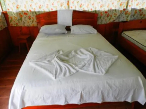 Amazon Eco Tours & Lodge