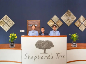 Shepherd'S Tree Game Lodge