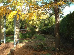 Rosie's Inn