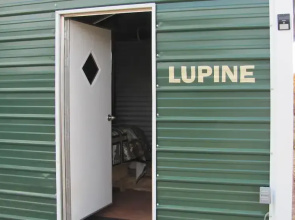 Pinion Pine Village