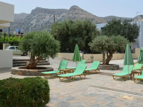 Olive Grove