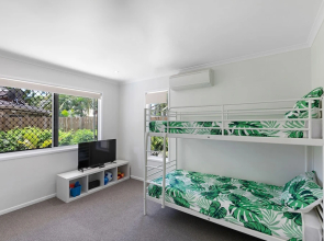 Whitsunday Palms