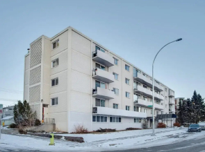 Gorgeous 2Br Condo w Parking Patio Coffee