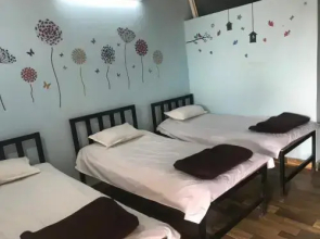 Green Fog Guesthouse