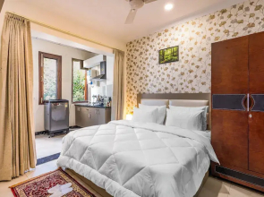 The Greenville by Parfait Street