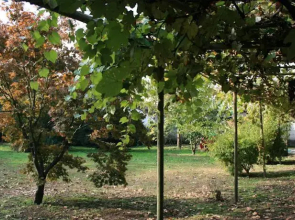Agriturismo Cascina Santa Maria