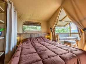 Ludocamping